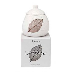 Ashdene  |Lantana Natural | Charcoal Sugar